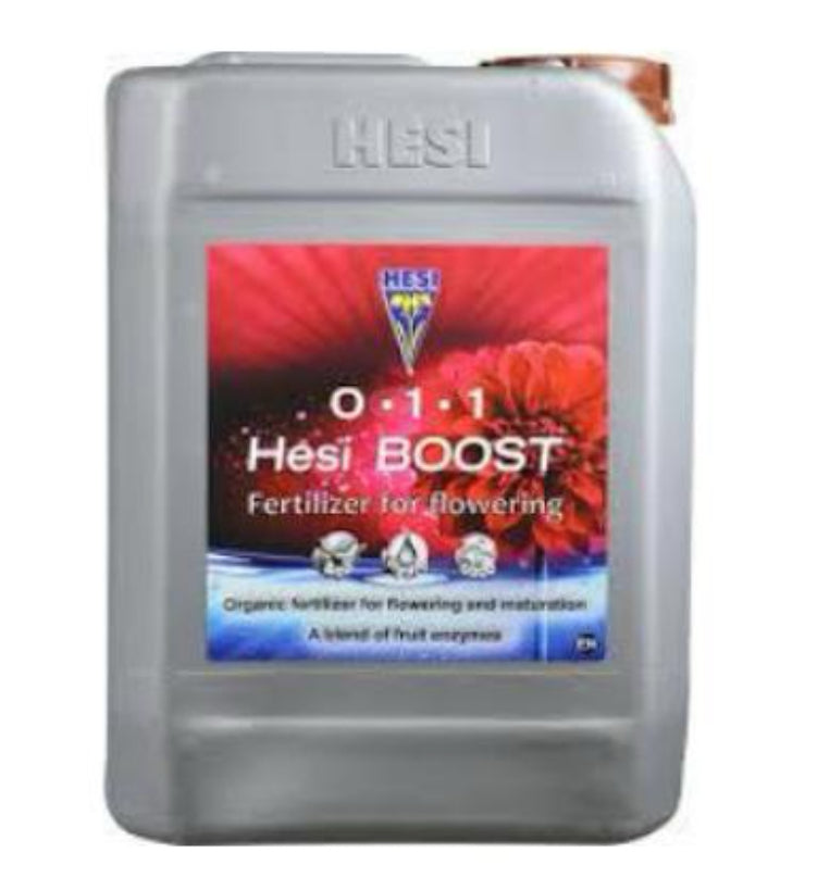 HESI Boost