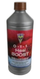 HESI Boost