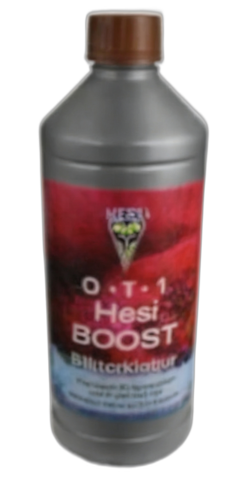 HESI Boost