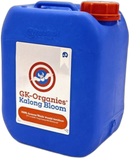 Guanokalong Kalong Bloom