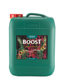 CANNABOOST - Pflanzenbooster